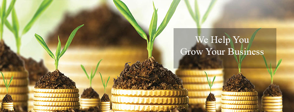 accounting-that-help-you-grow-your-business-1