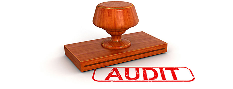 fiancial-auditing-1